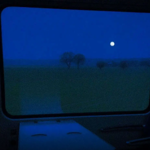 三级黄色片软件
