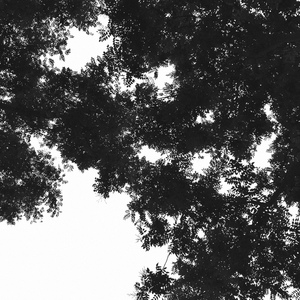 三级黄色片软件
