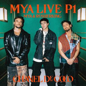 三级黄色片软件
